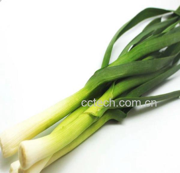 果蔬百科蒜苗-0