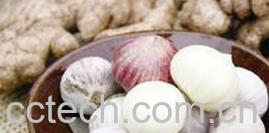 果蔬百科大蒜-0