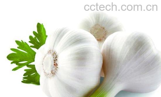 果蔬百科大蒜-0