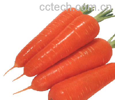 果蔬百科胡萝卜-0