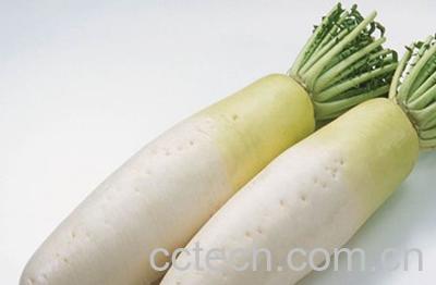 果蔬百科白萝卜-0
