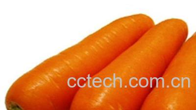 果蔬百科胡萝卜-0