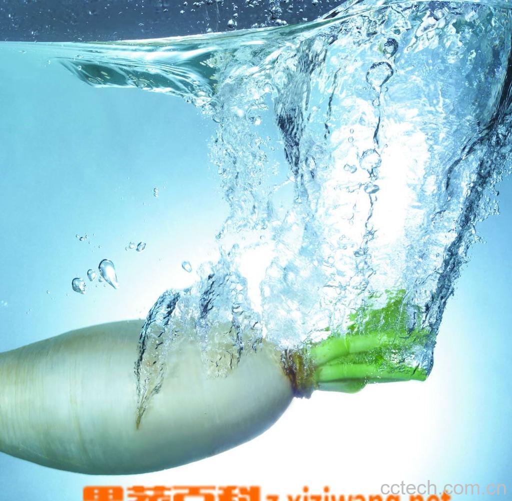 果蔬百科萝卜-0