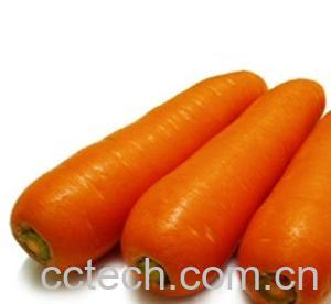 果蔬百科红萝卜-0
