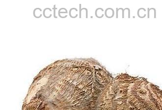 果蔬百科芋头-0