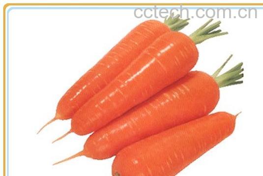 果蔬百科胡萝卜-0