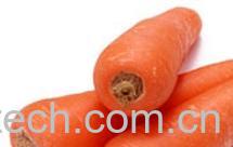 果蔬百科胡萝卜-0