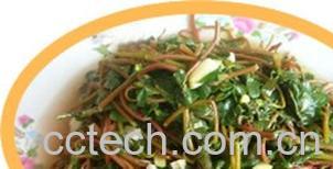 果蔬百科马齿苋-0