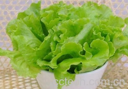 果蔬百科生菜-0