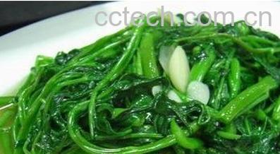 果蔬百科空心菜-0