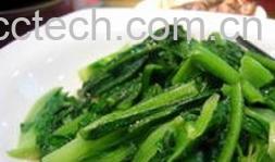 果蔬百科油麦菜-0