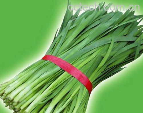 果蔬百科韭菜-0