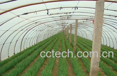 果蔬百科韭菜-0