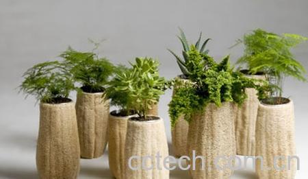 果蔬百科丝瓜瓤的功效与作用 -0