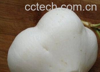 果蔬百科洋地瓜-0