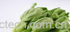 果蔬百科青菜-0