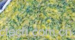 果蔬百科猪毛菜-0