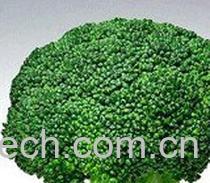 果蔬百科西兰花的家常做法-0