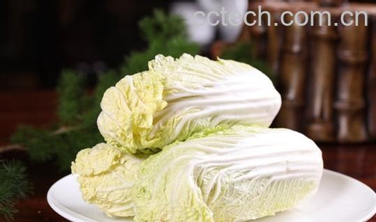 果蔬百科娃娃菜-0