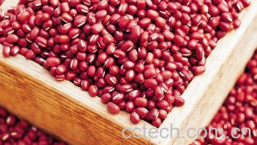 果蔬百科赤小豆-0