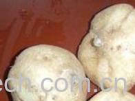 果蔬百科白地瓜-0