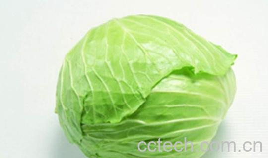 果蔬百科卷心菜-0