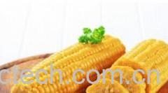果蔬百科甜玉米-0