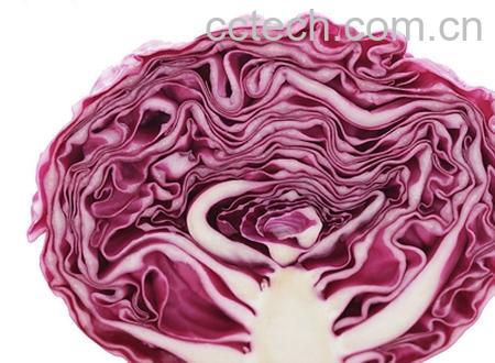 果蔬百科甘蓝-0