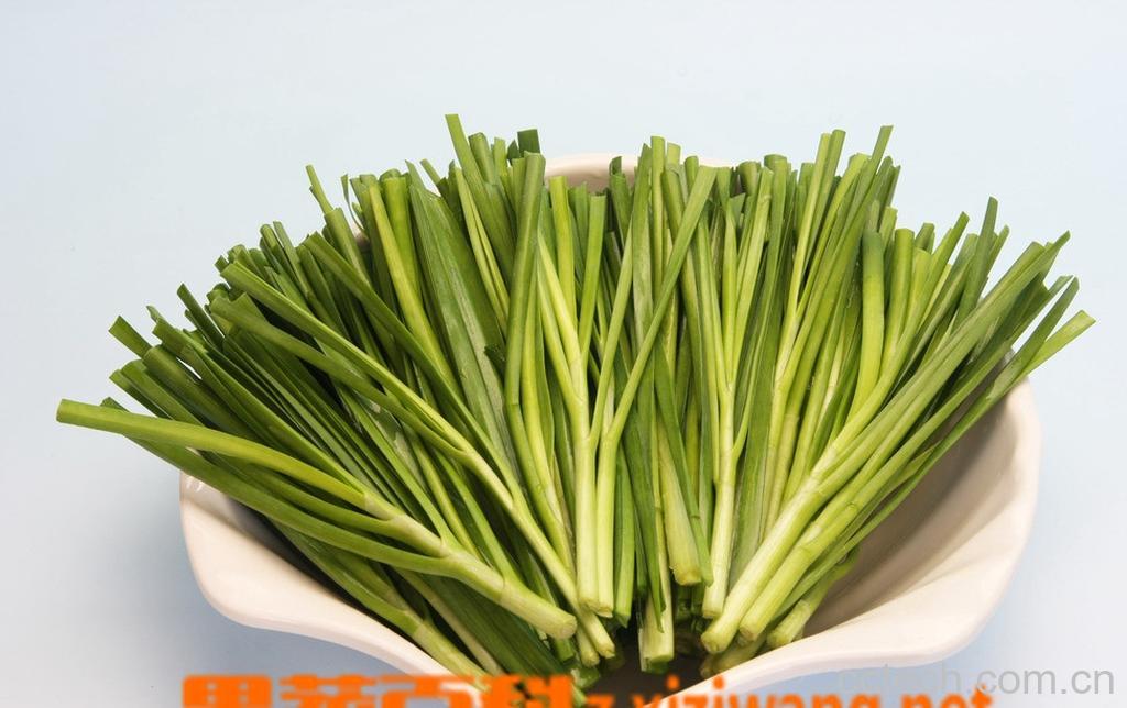果蔬百科韭菜-0