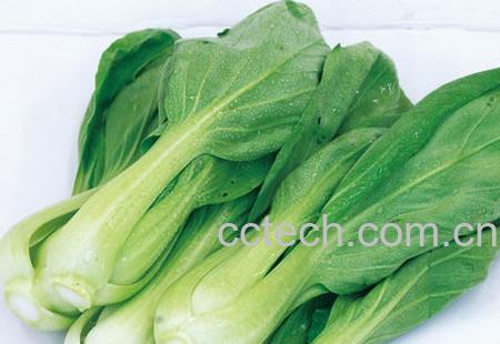 果蔬百科小白菜-0