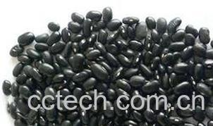 果蔬百科黑芸豆-0