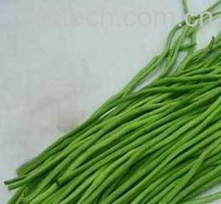 果蔬百科豇豆-0