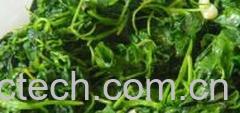 果蔬百科金花菜-0
