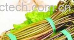 果蔬百科蕨菜-0