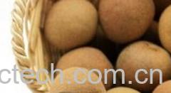 果蔬百科孕妇禁忌水果-0