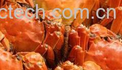 果蔬百科孕妇禁忌-0