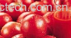 果蔬百科西红柿-0