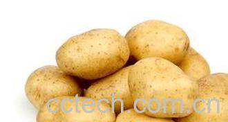 果蔬百科 土豆汁的做法和功效-0