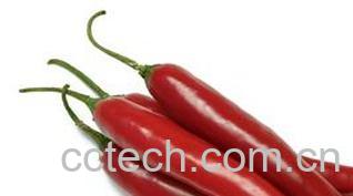 果蔬百科辣椒-0