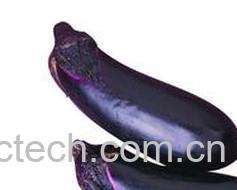 果蔬百科茄子-0