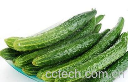 果蔬百科黄瓜-0
