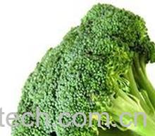 果蔬百科西兰花-0