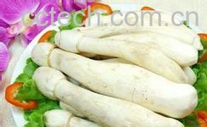 果蔬百科鸡腿菇-0