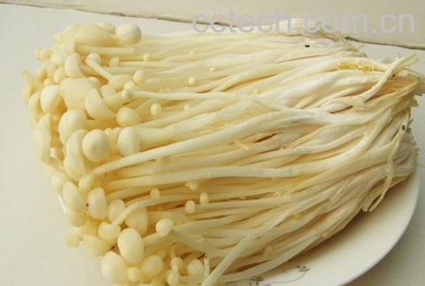 果蔬百科金针菇-0