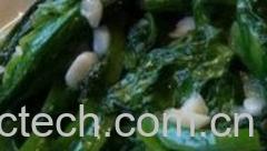 果蔬百科油麦菜-0