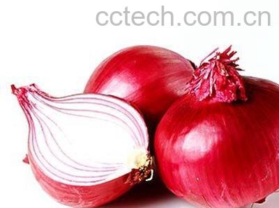 果蔬百科生吃洋葱的好处和坏处-0