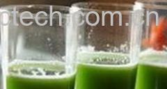 果蔬百科青瓜汁-0