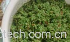 果蔬百科韭菜花-0