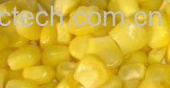 果蔬百科玉米粒-0