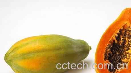 果蔬百科木瓜-0